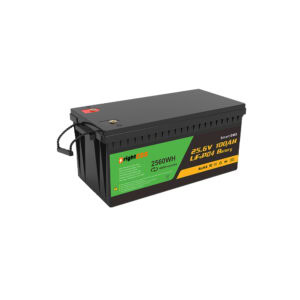 High-capacity BrightESS solar energy storage battery for renewable energy projects.